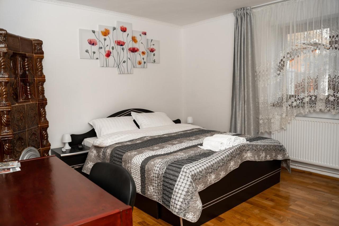 Apartament Panoramic La Casa In Comuna Rasinari Ngoại thất bức ảnh