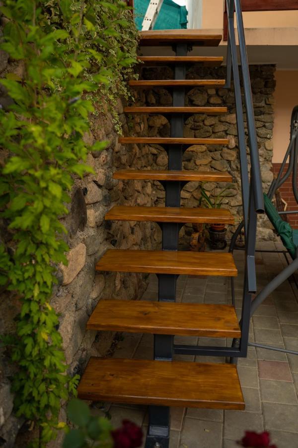 Apartament Panoramic La Casa In Comuna Rasinari Ngoại thất bức ảnh