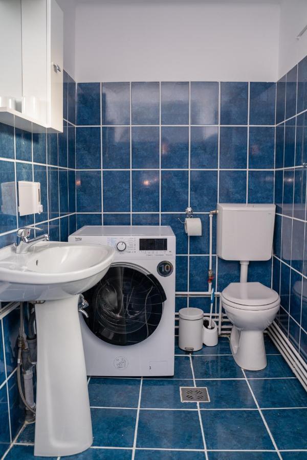 Apartament Panoramic La Casa In Comuna Rasinari Ngoại thất bức ảnh