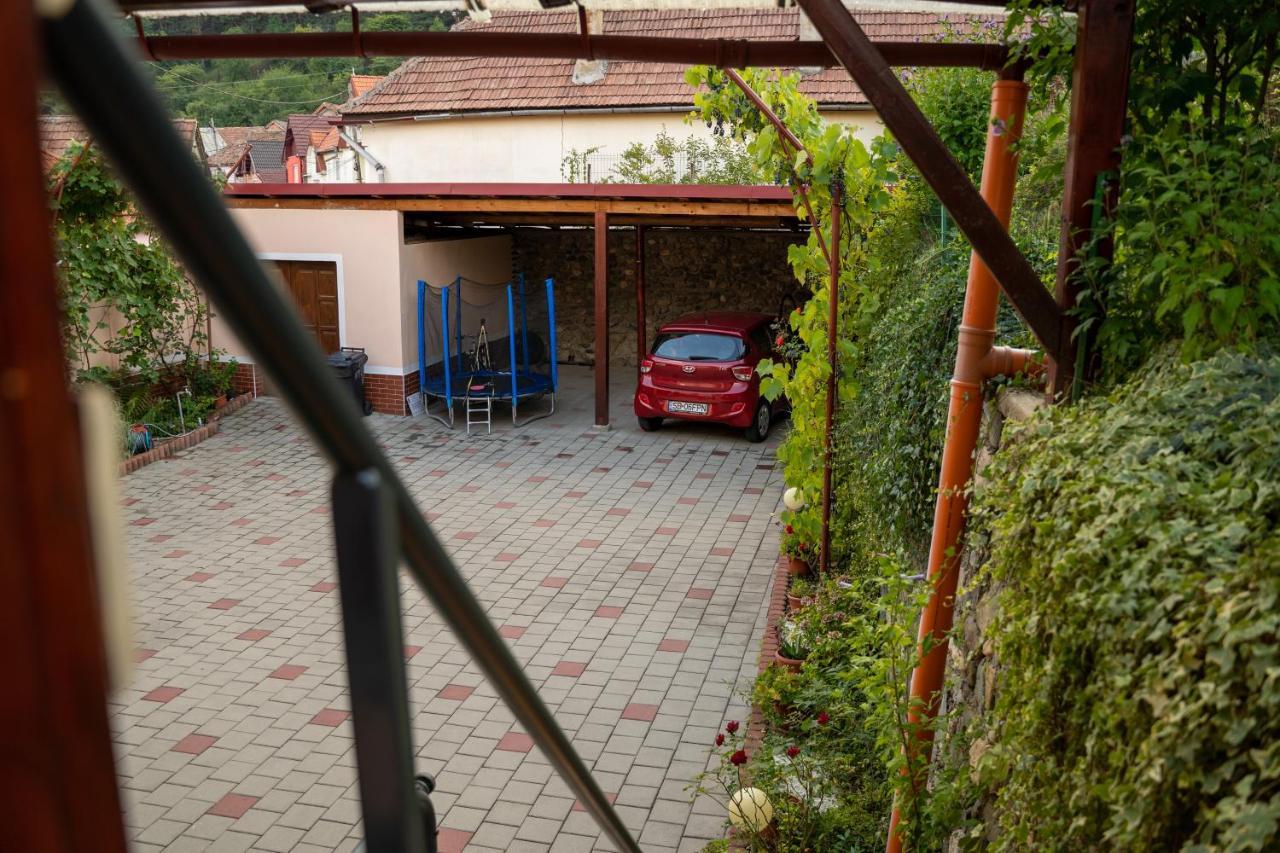 Apartament Panoramic La Casa In Comuna Rasinari Ngoại thất bức ảnh